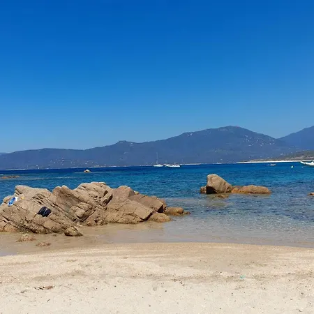 Appartamento Résidence Casa Régina Propriano (Corsica)