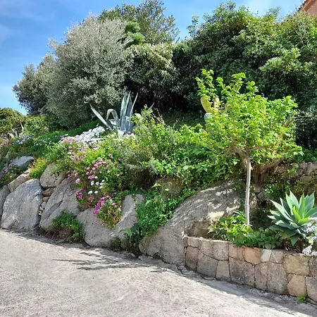 Résidence Casa Régina Appartamento Propriano (Corsica)